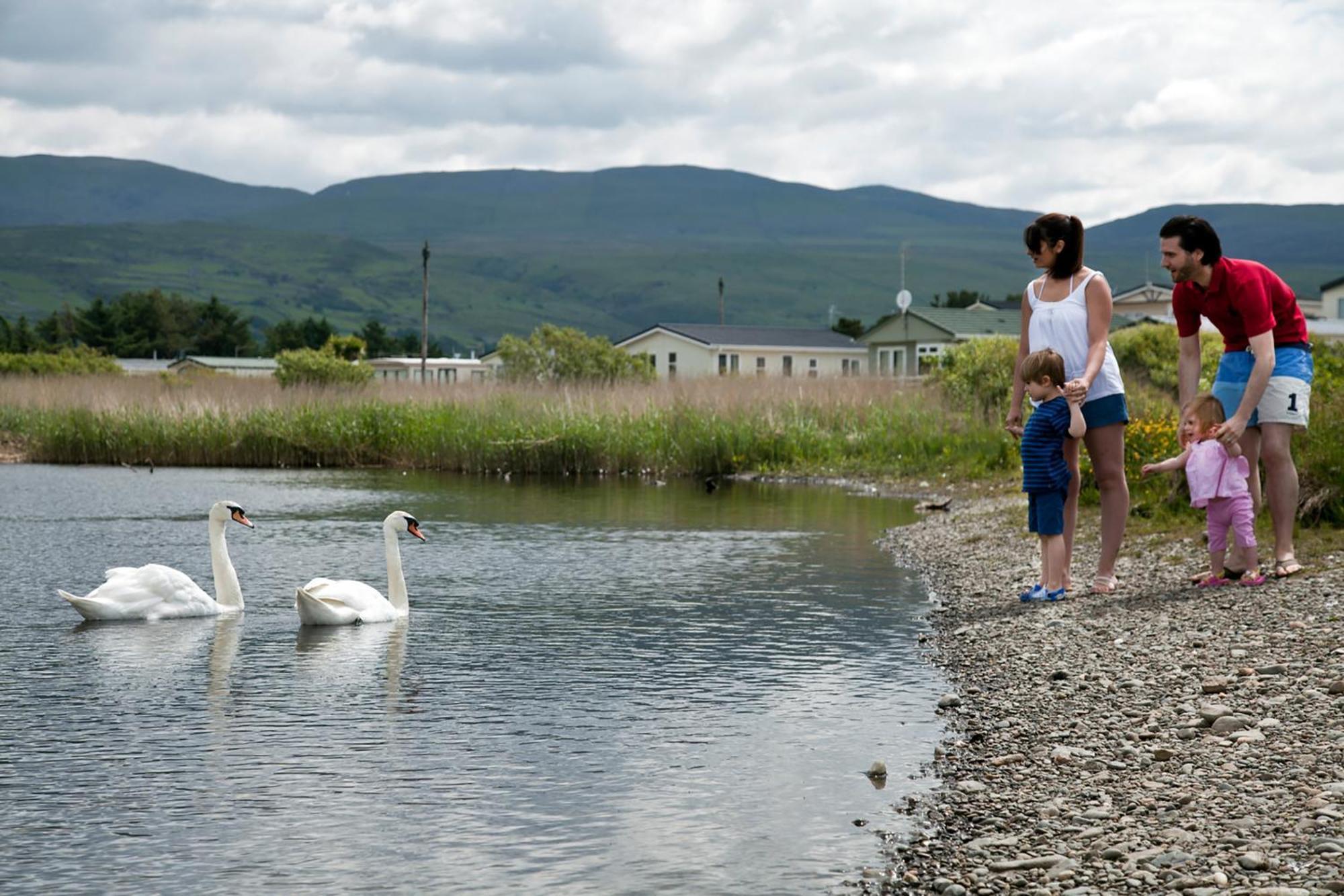 Holiday park Barmouth Bay Llanddwywe